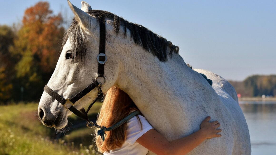 Top 10 AI Tools for Small and Medium Businesses in 2025