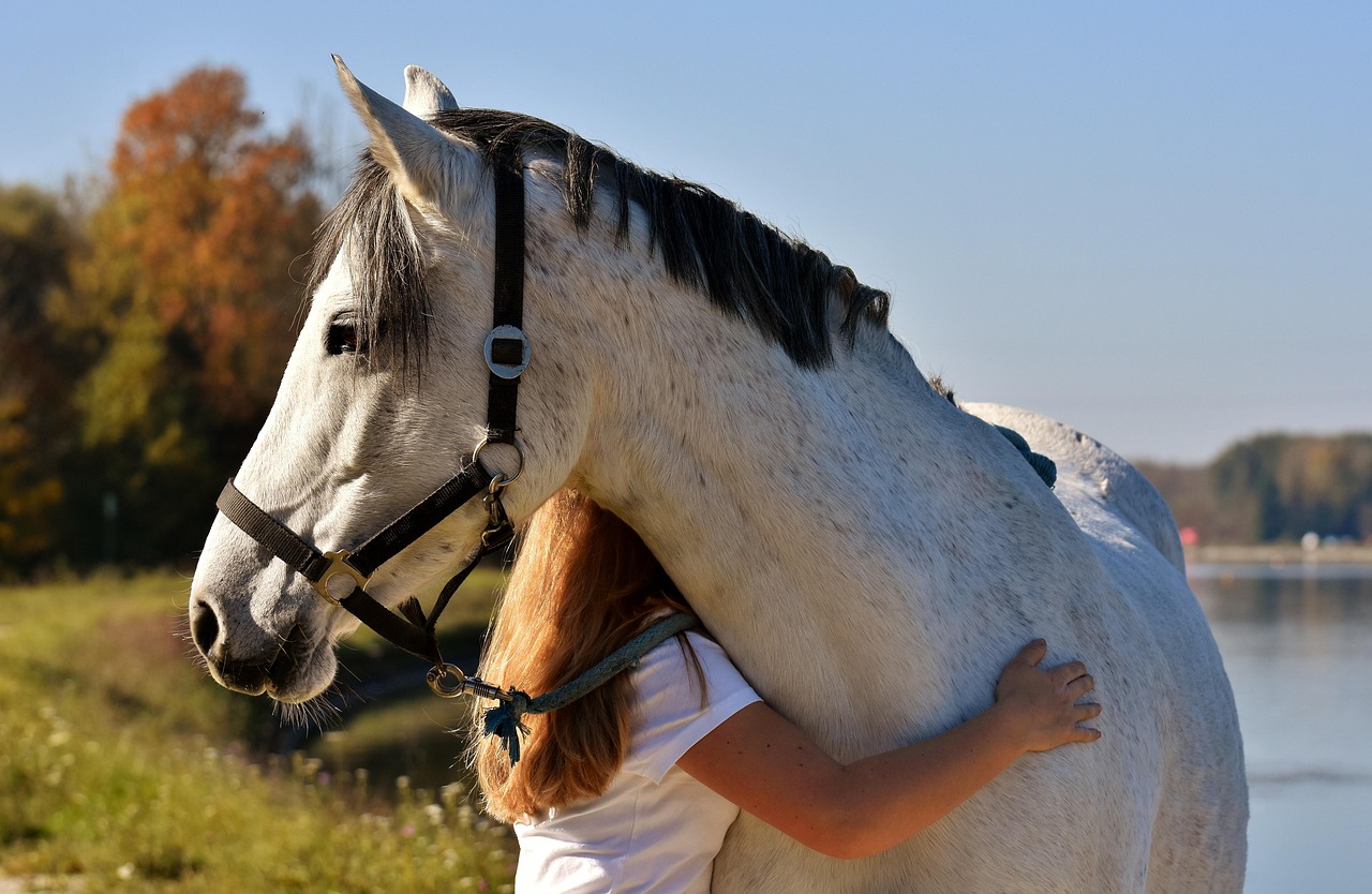 Person embracing a white horse by a serene lakeside