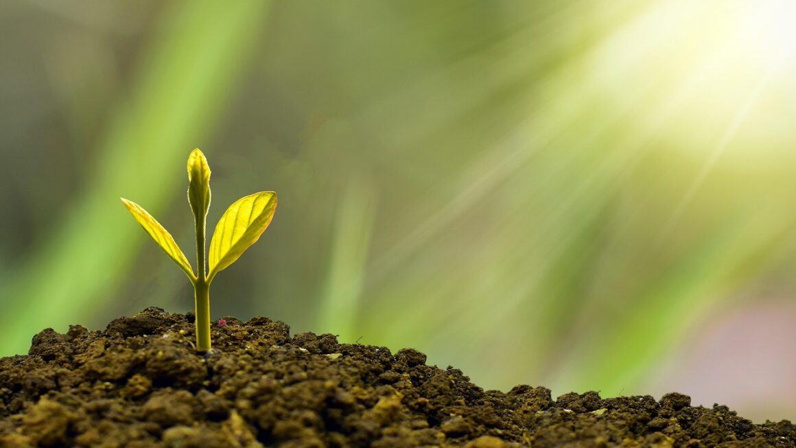 How to use automated investment bots to grow long-term wealth safely