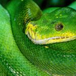 How to write Python scripts to automate repetitive daily administrative tasks