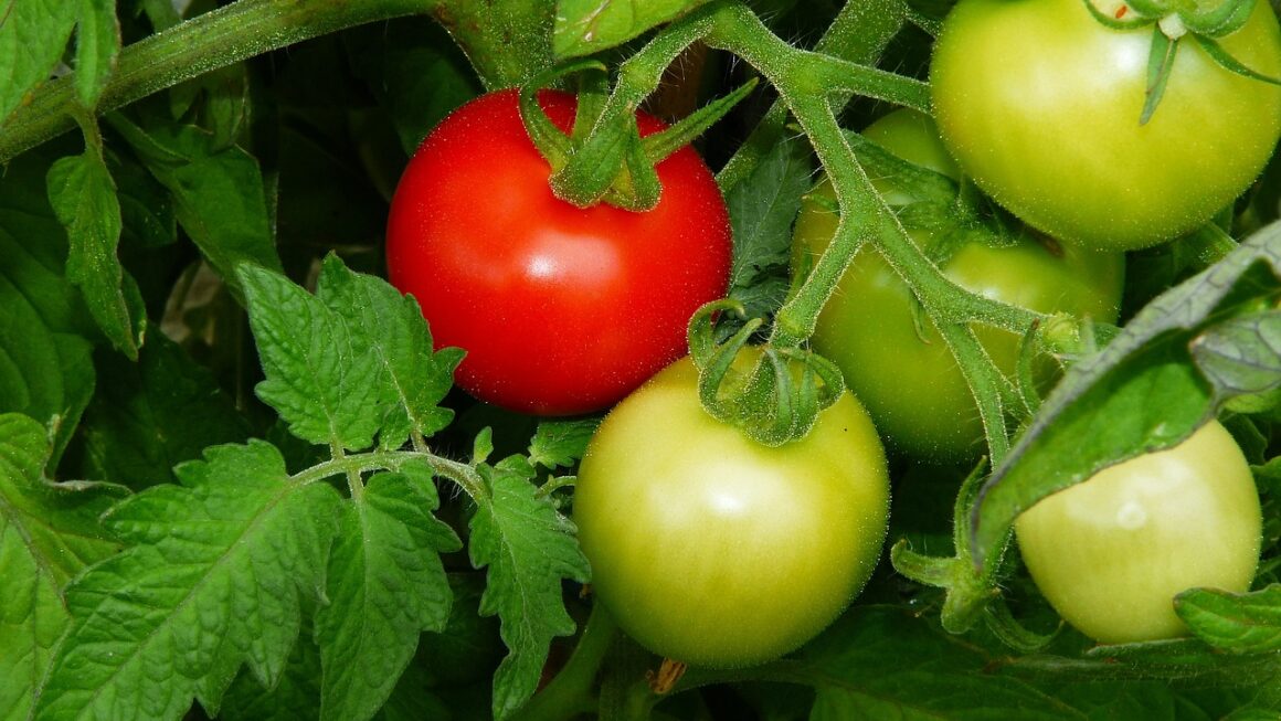 Assessing Your Companys Automation Maturity Level: A Guide to Scaling Up Effectively