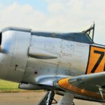 Harvard and Wharton Compared