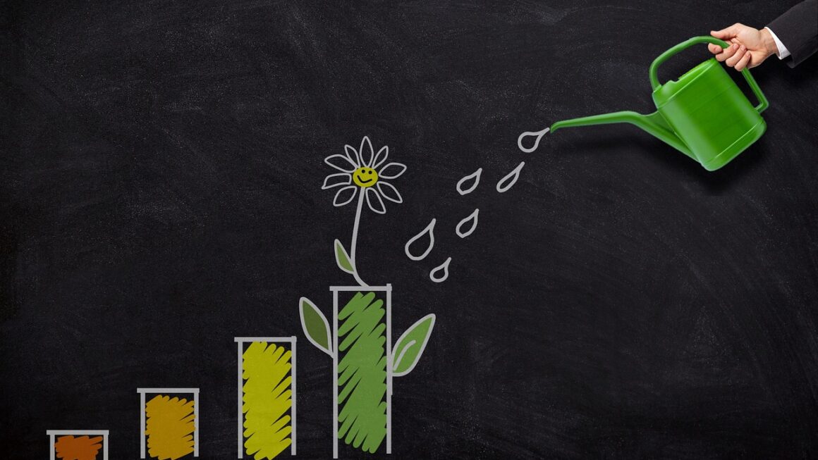 How real-time price automation can increase profit margins for e-commerce