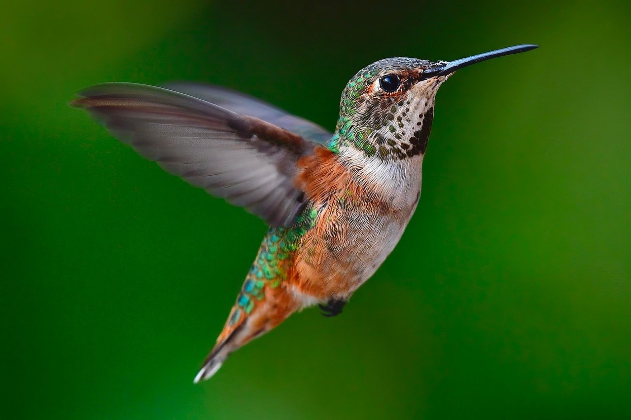 A developer’s guide to scaling test automation in high-velocity agile environments